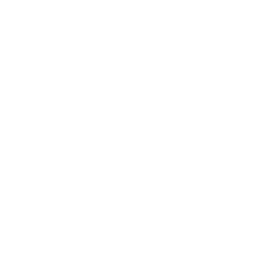face-massage-blanco