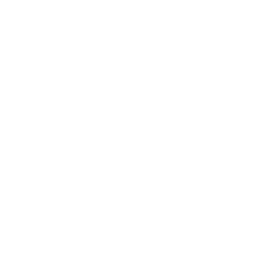 exosoma icon